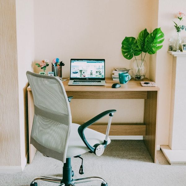 A calm and organized desk space with a plant, suggesting balance in daily life.